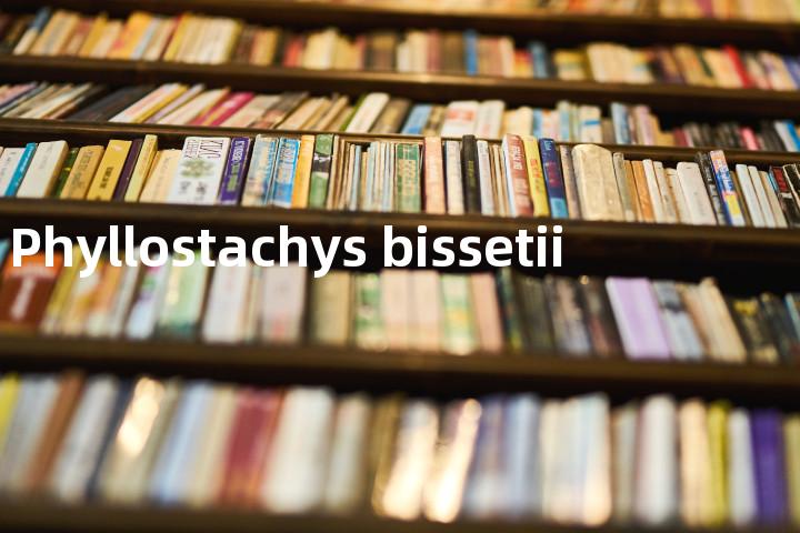 Phyllostachys bissetii单词图解，单词释义场景配图