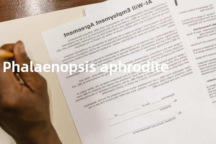 Phalaenopsis aphrodite单词图解，单词释义场景配图