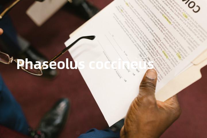 Phaseolus coccineus单词图解，单词释义场景配图