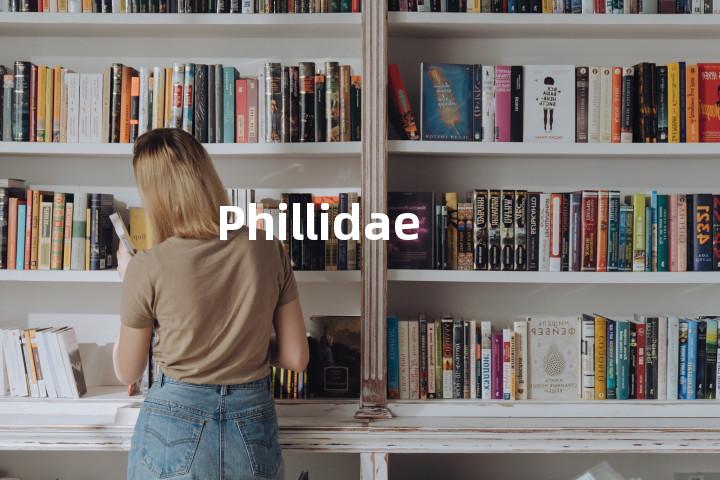 Phillidae单词图解，单词释义场景配图