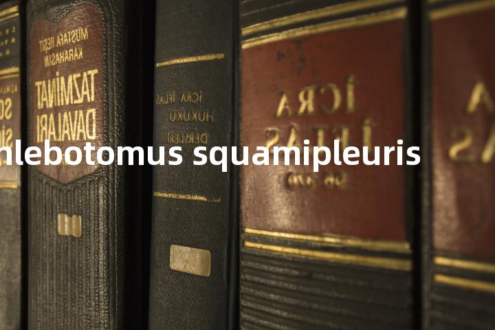 Phlebotomus squamipleuris单词图解，单词释义场景配图