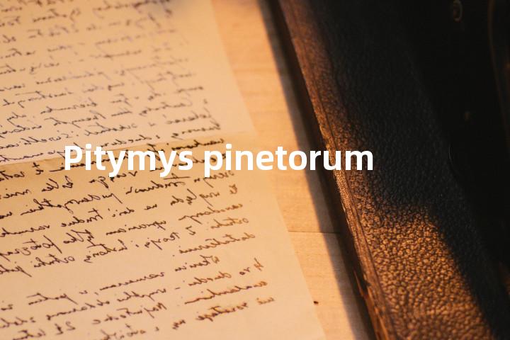 Pitymys pinetorum单词图解，单词释义场景配图