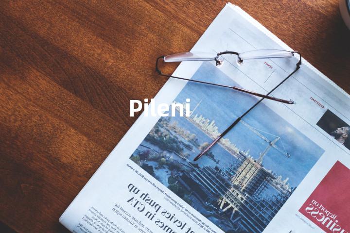 Pileni单词图解，单词释义场景配图