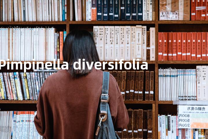 Pimpinella diversifolia单词图解，单词释义场景配图