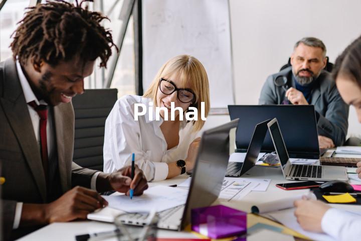 Pinhal单词图解，单词释义场景配图