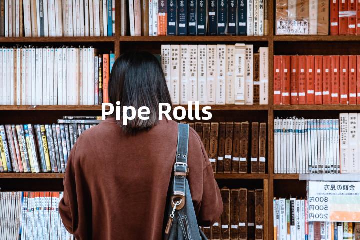 Pipe Rolls单词图解，单词释义场景配图