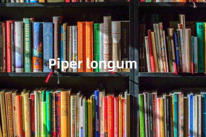 Piper longum单词图解，单词释义场景配图