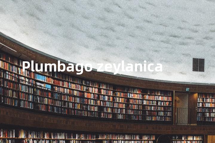 Plumbago zeylanica单词图解，单词释义场景配图