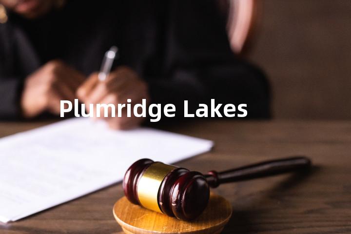 Plumridge Lakes单词图解，单词释义场景配图
