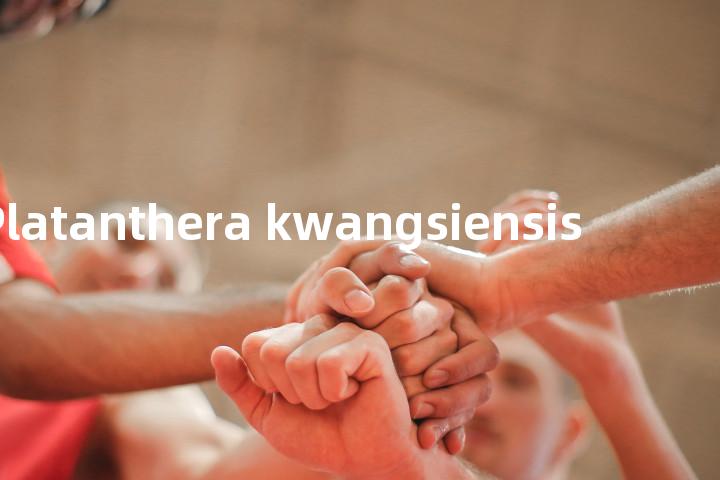 Platanthera kwangsiensis单词图解，单词释义场景配图