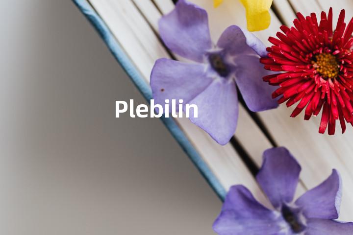 Plebilin单词图解，单词释义场景配图