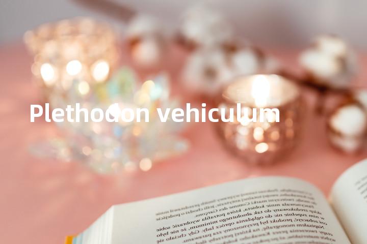 Plethodon vehiculum单词图解，单词释义场景配图