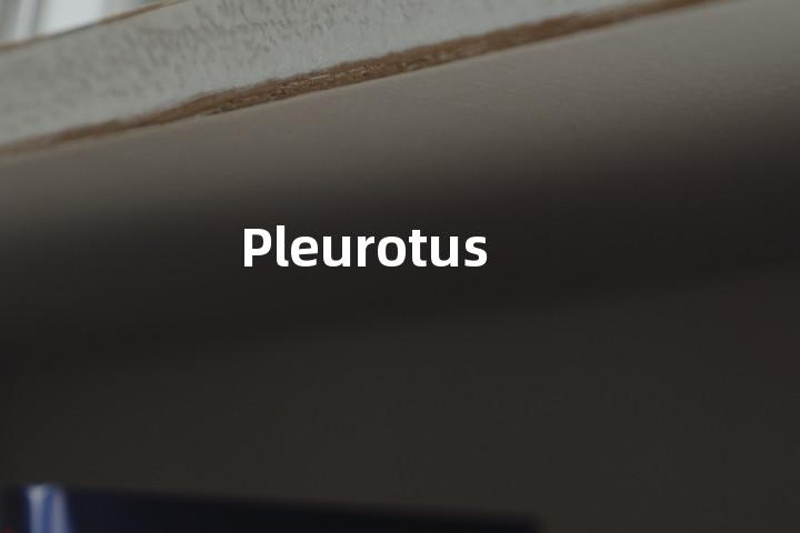 Pleurotus单词图解，单词释义场景配图