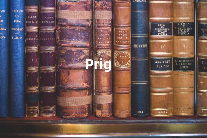 Prig