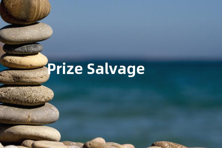 Prize Salvage单词图解，单词释义场景配图