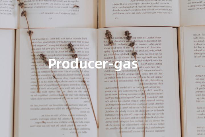 Producer-gas单词图解，单词释义场景配图