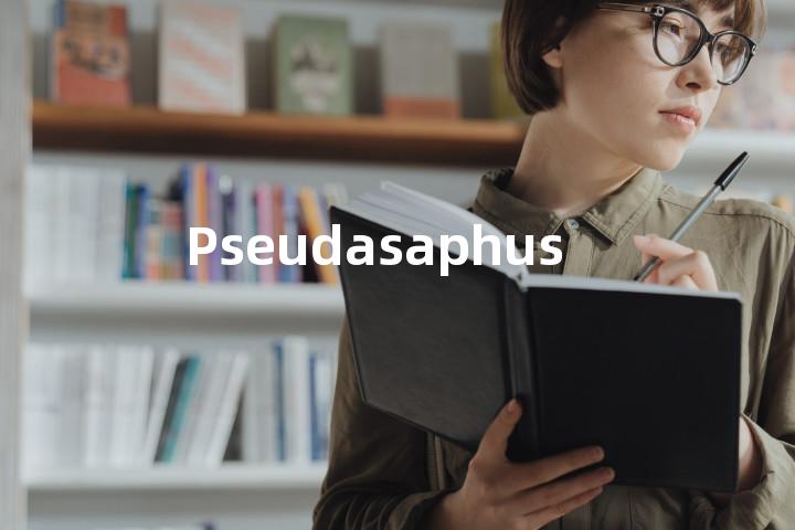 Pseudasaphus单词图解，单词释义场景配图