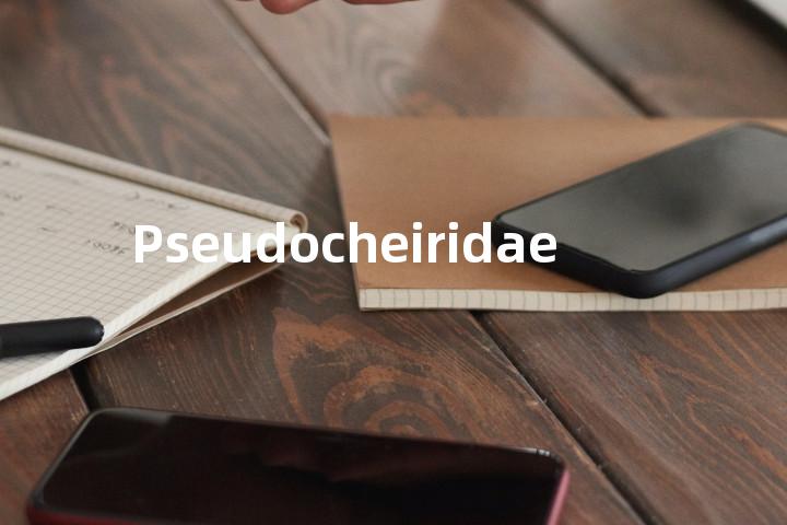Pseudocheiridae单词图解，单词释义场景配图