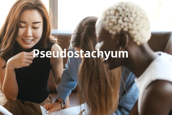 Pseudostachyum单词图解，单词释义场景配图