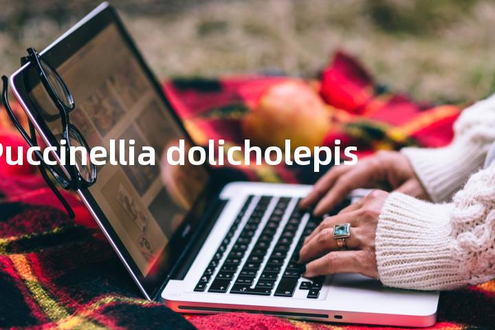 Puccinellia dolicholepis单词图解，单词释义场景配图
