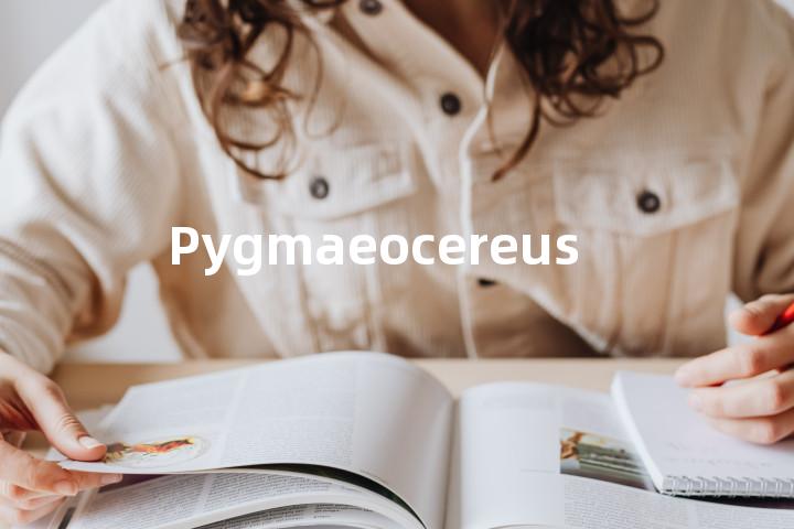 Pygmaeocereus单词图解，单词释义场景配图