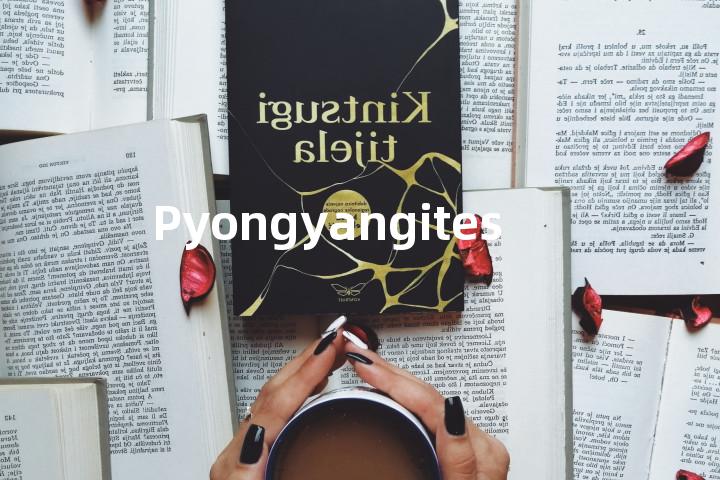 Pyongyangites单词图解，单词释义场景配图