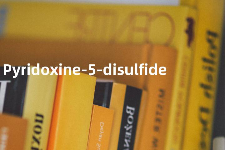 Pyridoxine-5-disulfide单词图解，单词释义场景配图