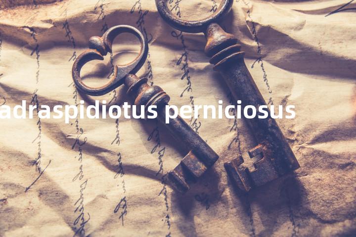 Quadraspidiotus perniciosus单词图解，单词释义场景配图