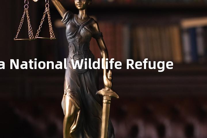 Quivira National Wildlife Refuge单词图解，单词释义场景配图