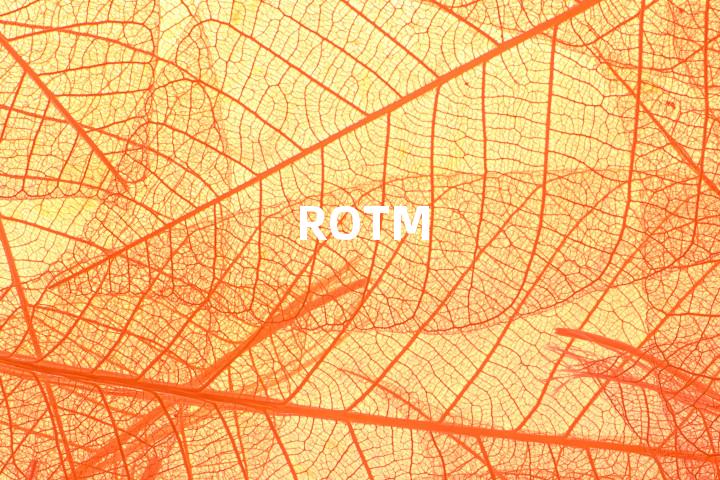 ROTM单词图解，单词释义场景配图