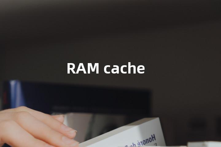 RAM cache单词图解，单词释义场景配图