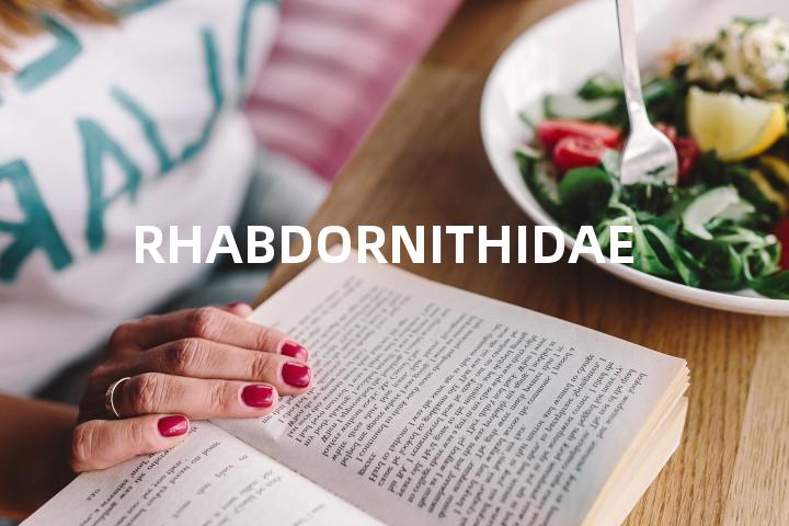 RHABDORNITHIDAE单词图解，单词释义场景配图