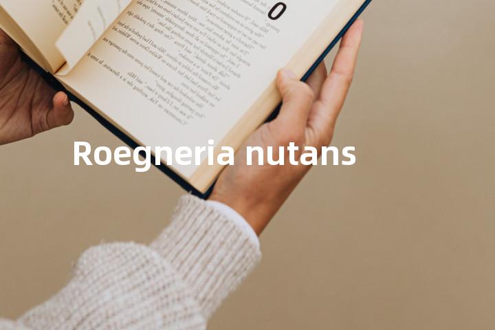 Roegneria nutans单词图解，单词释义场景配图