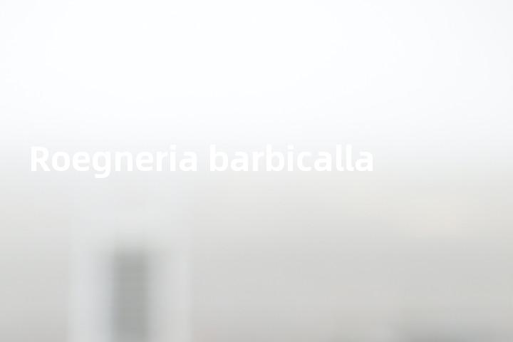 Roegneria barbicalla单词图解，单词释义场景配图
