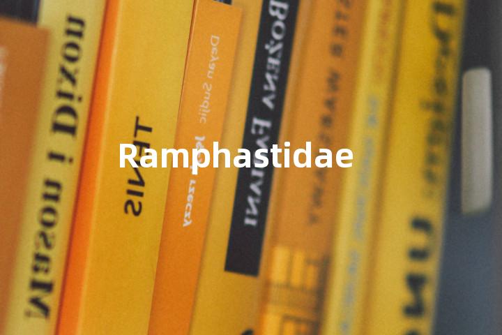 Ramphastidae单词图解，单词释义场景配图