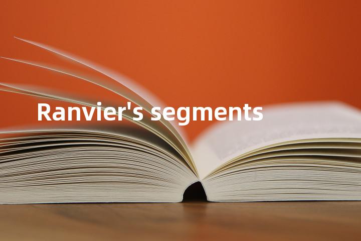 Ranvier's segments单词图解，单词释义场景配图