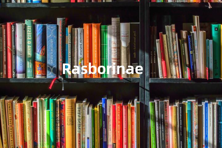 Rasborinae单词图解，单词释义场景配图