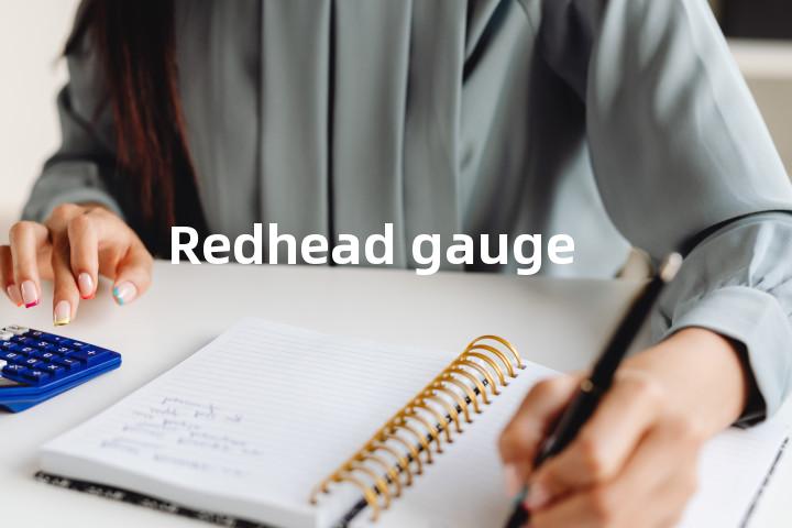 Redhead gauge单词图解，单词释义场景配图