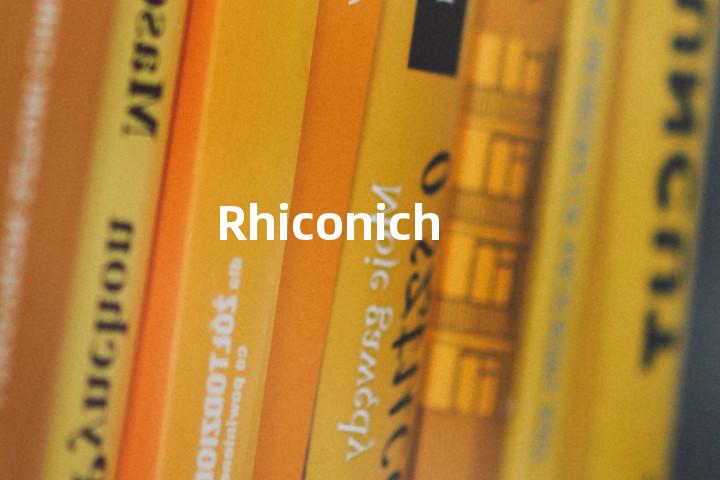 Rhiconich单词图解，单词释义场景配图