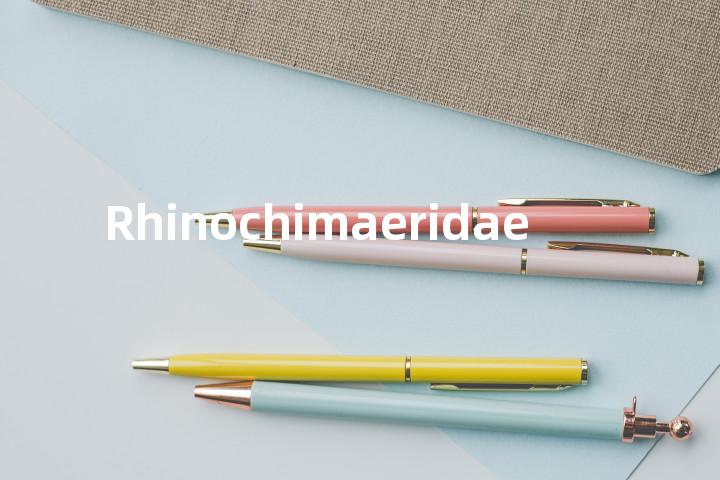 Rhinochimaeridae单词图解，单词释义场景配图