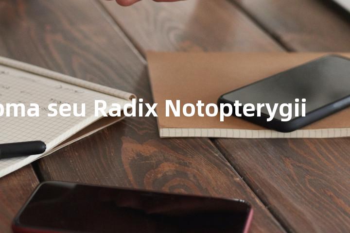 Rhizoma seu Radix Notopterygii单词图解，单词释义场景配图