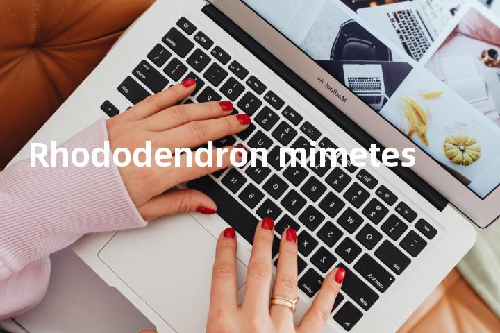 Rhododendron mimetes单词图解，单词释义场景配图