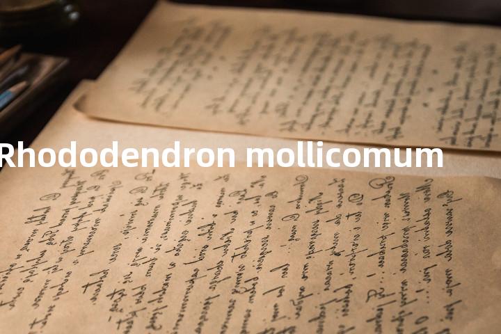 Rhododendron mollicomum单词图解，单词释义场景配图