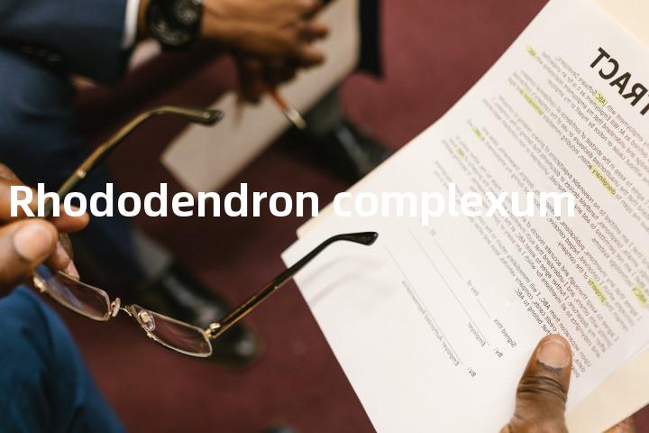Rhododendron complexum单词图解，单词释义场景配图