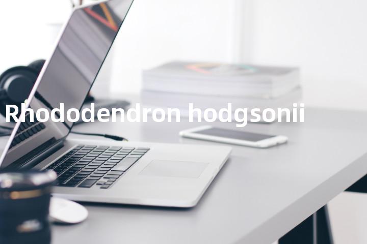 Rhododendron hodgsonii单词图解，单词释义场景配图