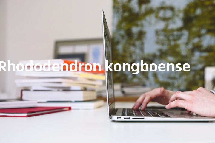 Rhododendron kongboense单词图解，单词释义场景配图