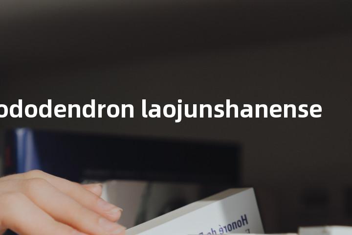 Rhododendron laojunshanense单词图解，单词释义场景配图