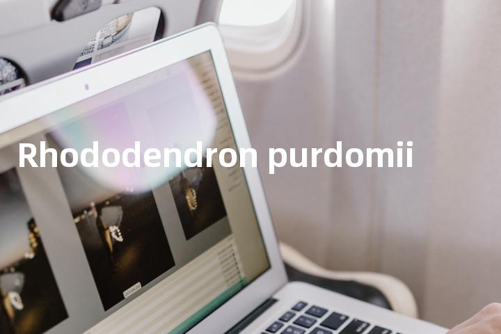 Rhododendron purdomii单词图解，单词释义场景配图