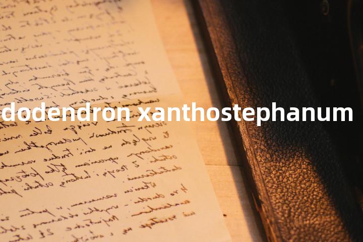 Rhododendron xanthostephanum单词图解，单词释义场景配图