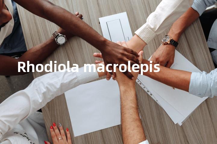 Rhodiola macrolepis单词图解，单词释义场景配图